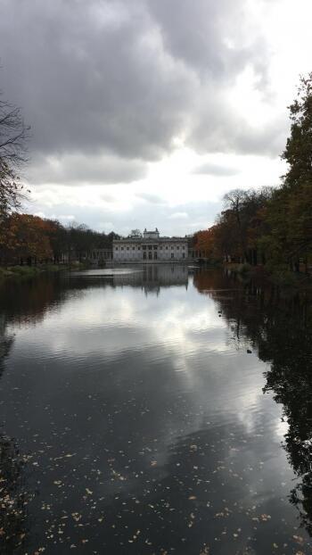 IMG_4431-30-10-18-09-09.JPG